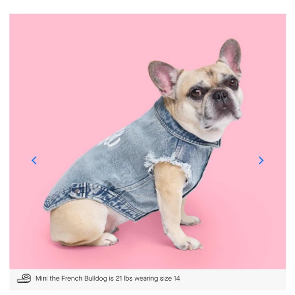 BARBIE x CANADA POOCH DENIM VEST - Picture 3 of 10